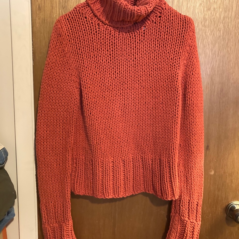The Limited Handknit cowl neck sweater.